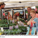 farmers_market_2