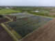 Grinnell College Plugs into 16th Ave Solar Array, Marking Historic Environmental Milestone