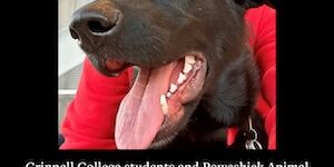 25 Feb Students at PALS_Our Grinnell Banner