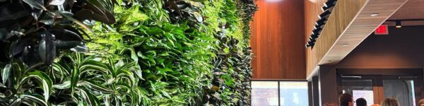 467651546_18474788302041826_8931625850571671037_n