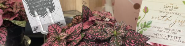 Bates Flowers by Design gift ideas