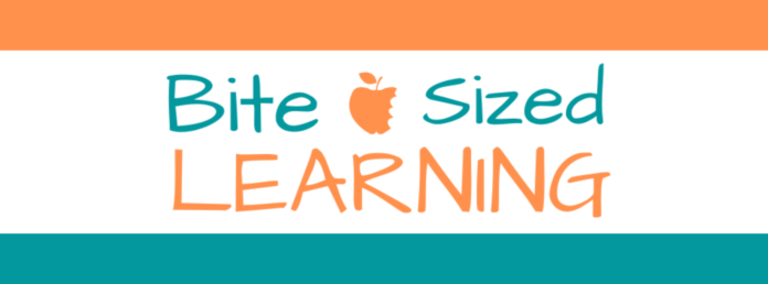 Bite Sized Learning Brand Image 2025