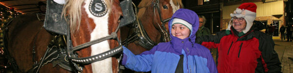 Jingle Bell Holiday – 9053