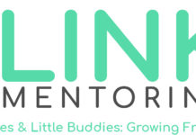 Changes within the LINK Mentoring Program