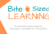 Bite Sized Learning Returns with 3 interactive programming sessions